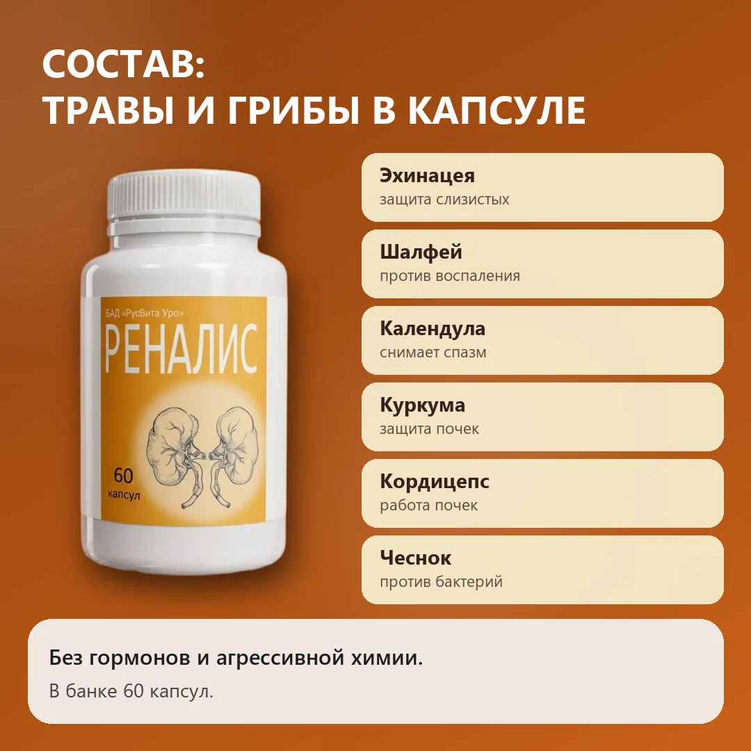 Состав Реналис: травы и лечебные грибы